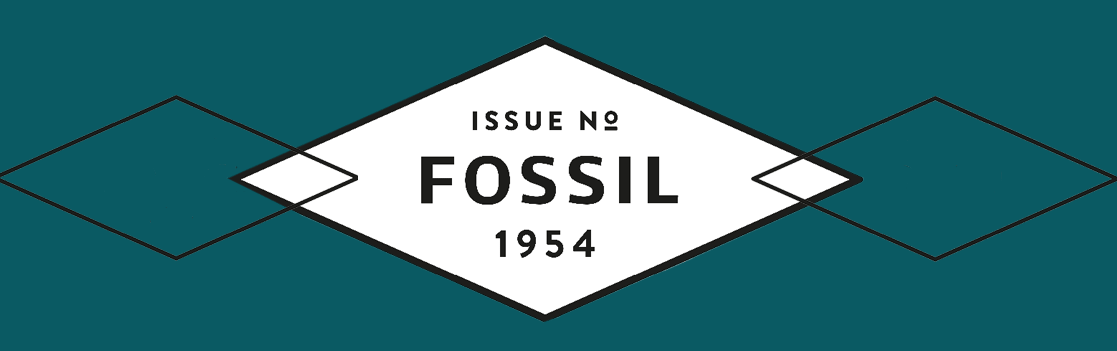 fossil-accessories-banner