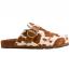 Ariat Country Mule Cow Hair On (Women's) 1