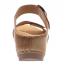 Dansko Tanya Slide Sandal Tan Milled (Women's) 5