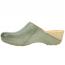 Dansko Talulah Clog Ivy Milled (Women's) 1