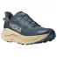 HOKA Challenger 8 Runner Faded Navy/ Pampas Grass (Men's)