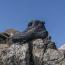 Keen Revel IV EXP CF Polar Waterproof Boot Black/ Black (Men's) 5