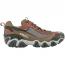 Oboz Firebrand II Low B-Dry Hiker Earth (Men's) 1