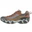 Oboz Firebrand II Low B-Dry Hiker Earth (Men's) 2