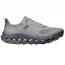On Running Cloudhorizon 2 Alloy/ Rock (Men's) 1