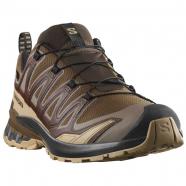 Salomon XA Pro 3D V9 GTX Dark Earth/ Desert Tan/ Black (Men's)