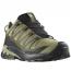 Salomon XA Pro 3D V9 GTX Dried Herb/ Black/ Olive Night (Men's)