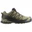 Salomon XA Pro 3D V9 GTX Dried Herb/ Black/ Olive Night (Men's) 1