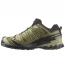 Salomon XA Pro 3D V9 GTX Dried Herb/ Black/ Olive Night (Men's) 2