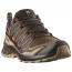 Salomon XA Pro 3D V9 GTX Dark Earth/ Desert Tan/ Black (Men's)