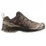 Salomon XA Pro 3D V9 GTX Dark Earth/ Desert Tan/ Black (Men's) 1