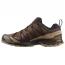 Salomon XA Pro 3D V9 GTX Dark Earth/ Desert Tan/ Black (Men's) 2