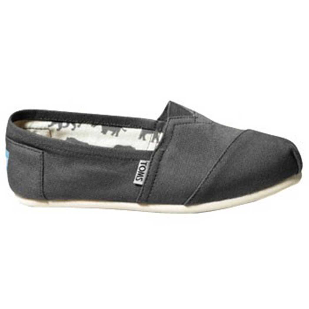 toms ash grey canvas