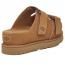 UGG Goldenstar Hi Slide Platform Sandal Chestnut (Women's) 5